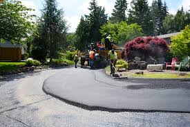 Best Driveway Drainage Solutions  in Rosemont, IL